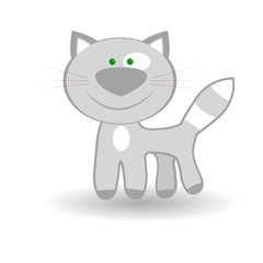 kitten