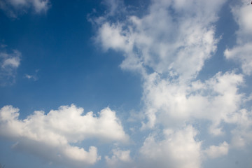 Fototapeta premium summer sky and cloud background