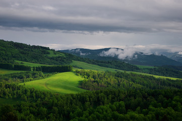 The road through the green meadow among forest in the foothills beneath a cloudy sky with fog.  Altai Mountains, Siberia, Russia.