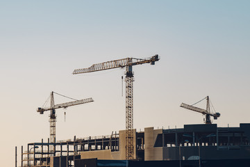 Three cranes at construction site in sunrise light