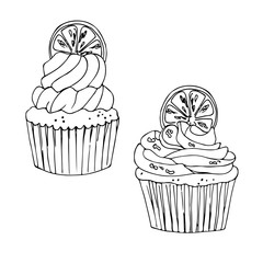 vector contour illustration of citrus lemon cupcake
