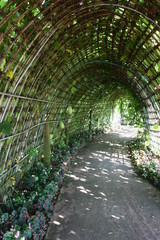 tunnel  garden
