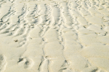 Beach sand sea side Klong Prao Beach Koh Chang 