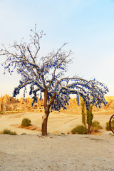 Nazars, Turkish Evil eye charms on the tree. Goreme. Cappadocia. Turkey