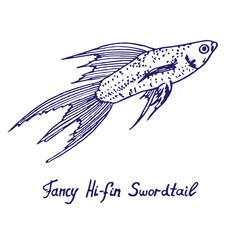 Fancy Hi-fin Swordtail (Xiphophorus hellerii, freshwate or brackish fish) male, hand drawn doodle, sketch in pop art style, vector illustration
