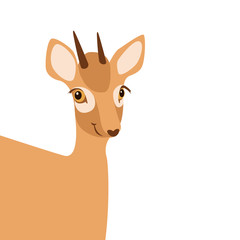 little baby deer  vector illustration style Flat cartoon