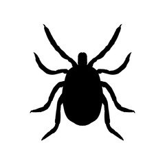 Silhouette of mite. Top view. Vector illustration.