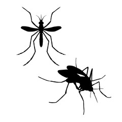 Silhouette of mosquito. Vector illustration.