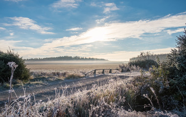 Scenic and bright  landscape with sunrise at frosty autumn morning