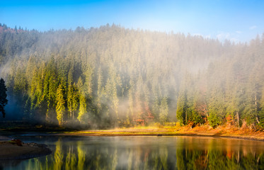 mountain lake on foggy morning in spruce forest