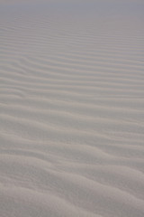 レンソイス・マラニャンセス国立公園の白い砂丘にできた風紋