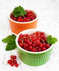 fresh red currant