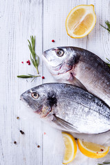 Fresh raw fish dorado