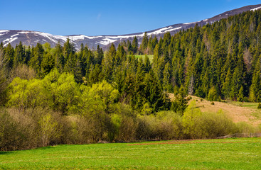 snowy tops over the rural fields in springtime