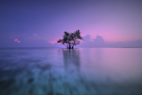 Pink Sunrise Serenity