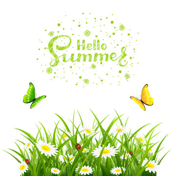 Hello Summer with grass and butterflies on white background