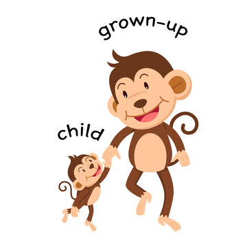 Opposite words child and grown up vector