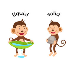 Opposite words liquid and solid vector