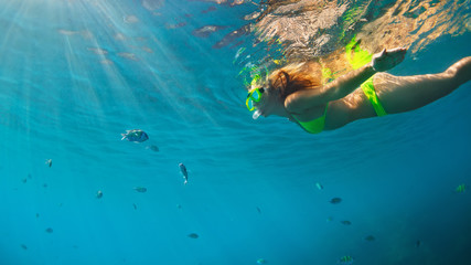 Happy family - girl in snorkeling mask dive underwater with fishes school in coral reef sea pool. Travel lifestyle, water sport outdoor adventure, swimming lessons on summer beach holidays with child.