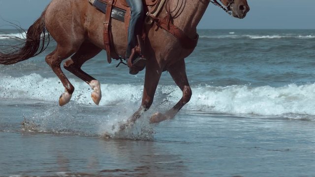 Super slow motion shof of women riding horses at beach, Oregon, shot on Phantom Flex 