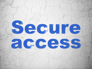 Security concept: Secure Access on wall background