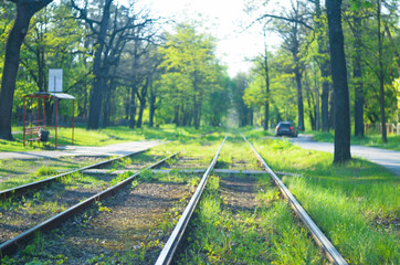 Fototapeta premium Blured tram tracks in green dense forest 