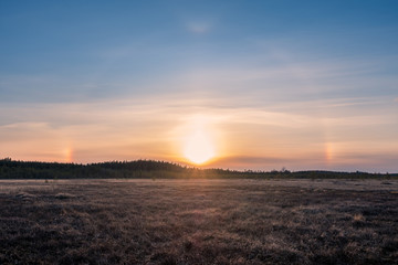 Nice halo light with sunset at spring evening in swamp Finland