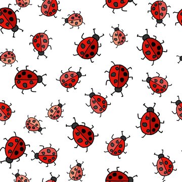 Seamless vector pattern with doodle of ladybirds on a white background.
