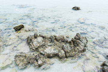 The Rocks in the sea.