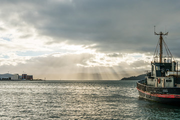 Obraz premium Wellington Sun Beams