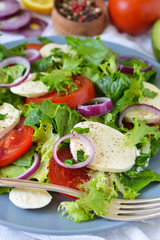 Vegetable salad with tomatoes, mozzarella and sauce on a marble background.