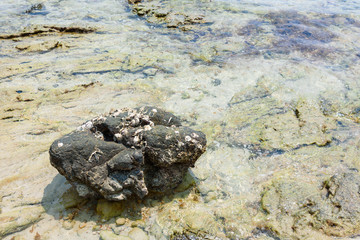 The Rocks in the sea.