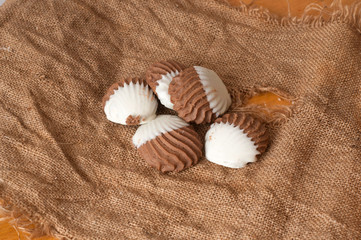 Shell shaped cookies isolated on the sackcloth texture background