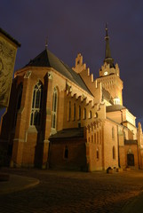 Fototapeta na wymiar Tarnow, Katedra Narodzenia NMP.
