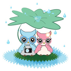 cute owl in love with rain vector cartoon designs