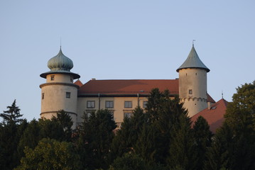 Nowy Wisnicz, Zamek.