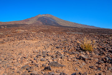 El Taide volcanic foothills