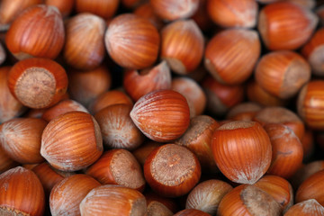 Whole big filbert hazelnuts close up background
