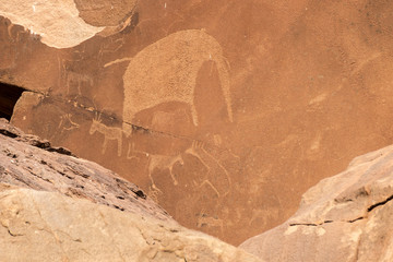 Fototapeta premium Bushman engravings in the granite rock, Twyfelfontein UNESCO World Heritage Site, Kunene Region, Damaraland, Namibia