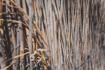 Obraz premium a straw fence