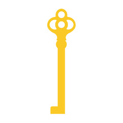 Golden key vector