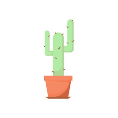abstract cactus in flower pot vector illustration
