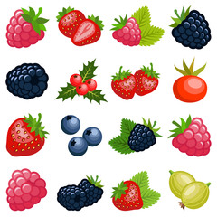 Berry fruit collection - vector color illustration © Hein Nouwens