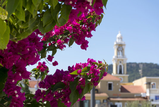 shrub with pink flowers in the background the building of the Orthodox chapel