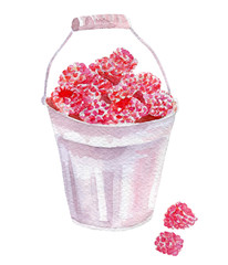 raspberry illustration. Hand drawn watercolor on white background.