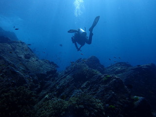 インド洋の海底登山