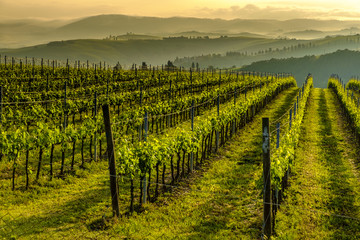 Val d'Orcia in Italy's Tuscany province