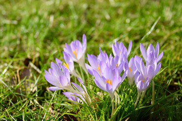 Frühling