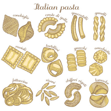vector colored set of different pasta shapes