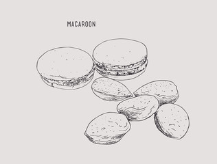 macaroon and almonds , sketch vector.